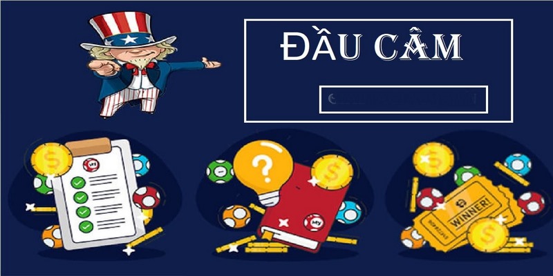 Khái niệm lô câm