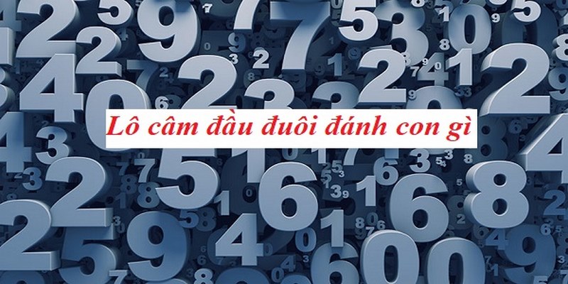Những phương pháp dự đoán kết quả chuẩn xác nhất