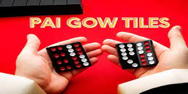 Chia sẻ mẹo đánh bài cẩu bất bại